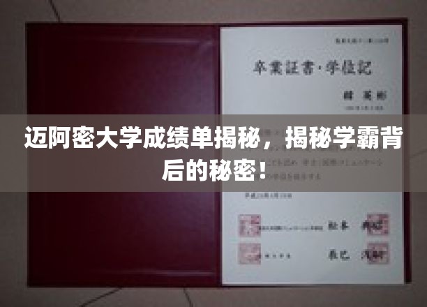 迈阿密学霸养成记，成绩单背后的神秘力量大揭秘