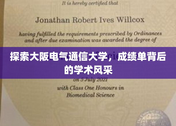 解码大阪电气通信大学，成绩单映照下的学术魅力之光
