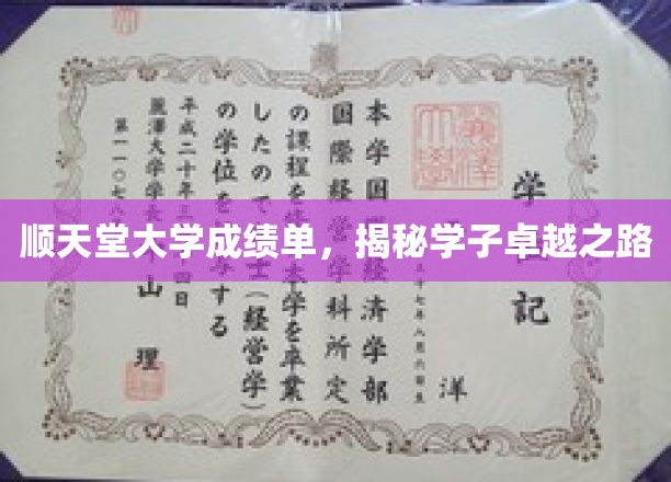 顺天堂学子卓越篇章，揭开成绩单背后的成长轨迹