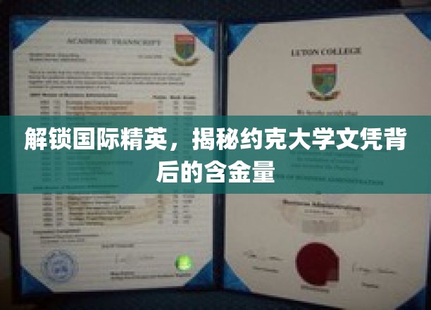 解锁国际精英，揭秘约克大学文凭背后的含金量