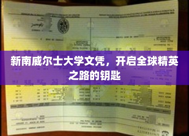 新南威尔士大学文凭，解锁国际精英教育之门