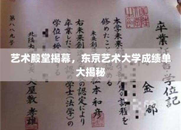 艺术殿堂揭幕，东京艺术大学成绩单大揭秘