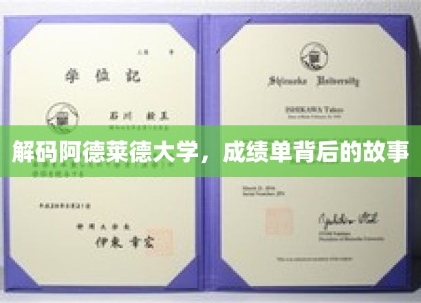 揭开阿德莱德大学成绩单的神秘面纱