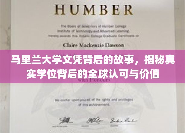 马里兰大学学位之谜，探寻国际认可背后的真实价值与影响