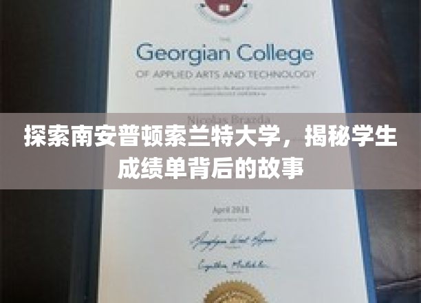 揭秘索兰特大学，学生成绩单背后的精彩人生