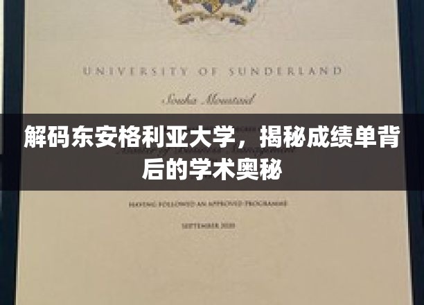 探秘东安格利亚，揭秘成绩单背后的学术魅力