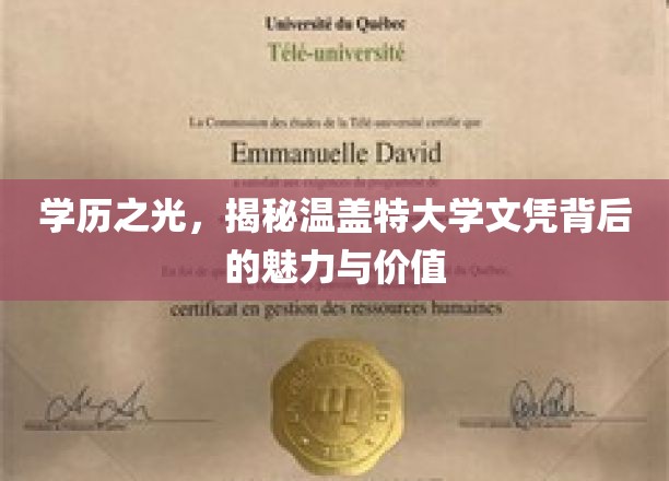 温盖特文凭魅力揭秘，学历之光闪耀职场舞台
