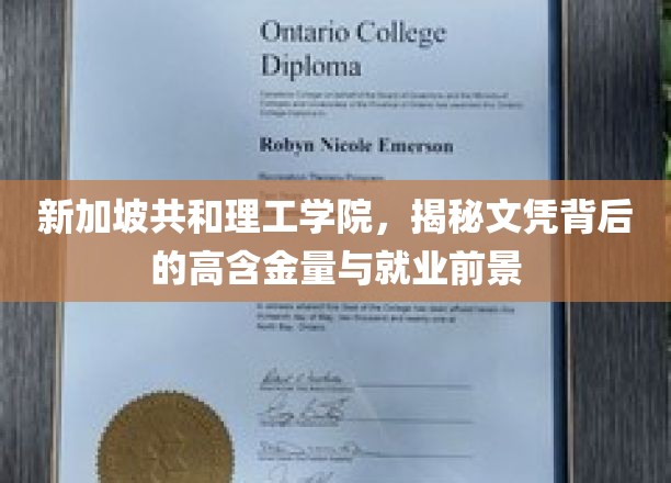 新加坡共和理工学院，揭秘文凭背后的高含金量与就业前景