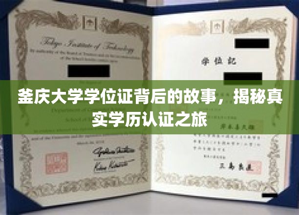 釜庆大学学位证背后的传奇，揭秘学历认证背后的真实历程