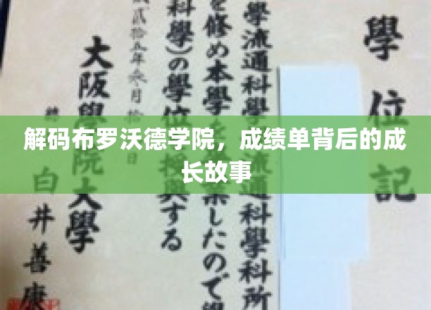 揭开布罗沃德学院的秘密，成绩单背后的青春足迹