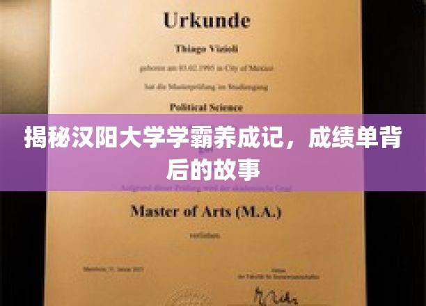 汉阳大学学霸养成，揭开成绩单背后的非凡历程