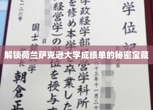 探寻荷兰萨克逊大学成绩单的隐藏魅力