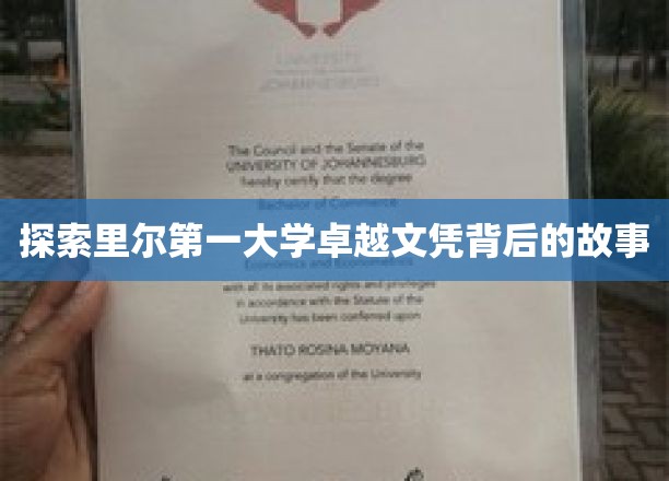 揭开里尔第一大学精英学位的神秘面纱