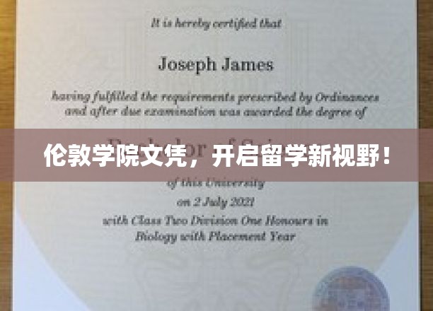 解锁留学新境界，伦敦学院文凭引领潮流