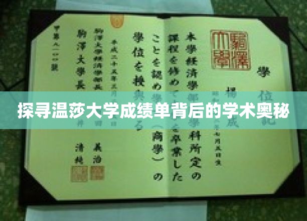 探寻温莎大学成绩单背后的学术奥秘