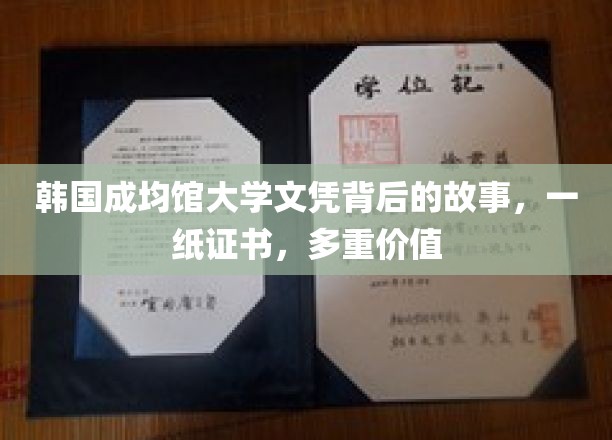韩国成均馆大学文凭背后的故事：一纸证书，多重价值