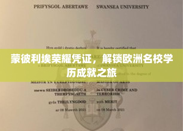 蒙彼利埃荣耀护照，开启欧洲精英学府成就之旅