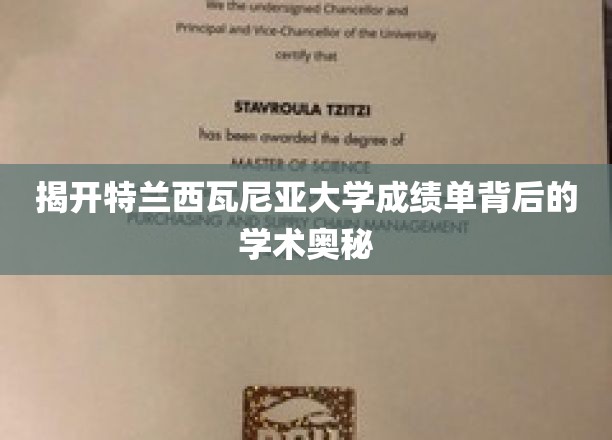 揭开特兰西瓦尼亚大学成绩单背后的学术奥秘