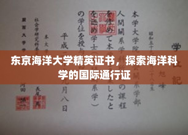 海洋精英通行证，东京海洋大学证书开启国际海洋科学之旅