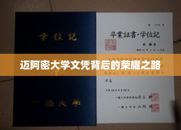 迈阿密大学文凭背后的荣耀之路