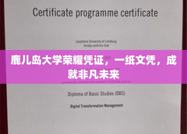 鹿岛荣耀，一纸鹿大文凭，开启非凡人生新篇章