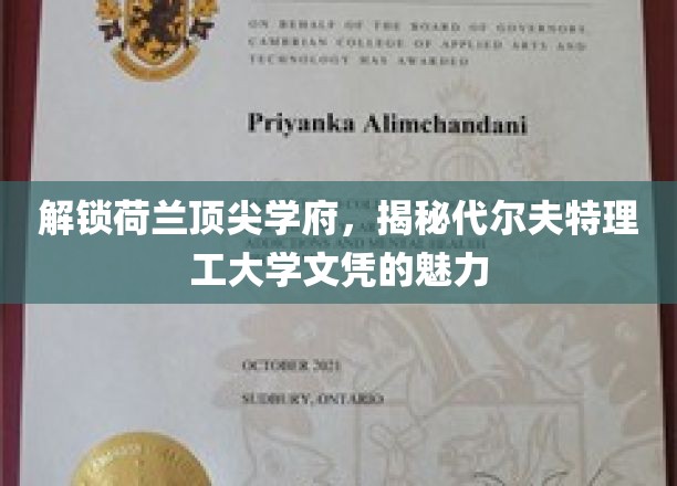 解锁荷兰顶尖学府，揭秘代尔夫特理工大学文凭的魅力