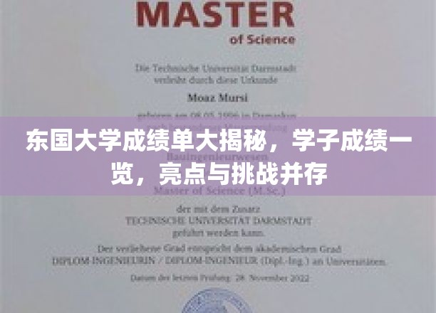 东国大学成绩单深度解析，学子学业成绩全面展示，亮点与挑战交织