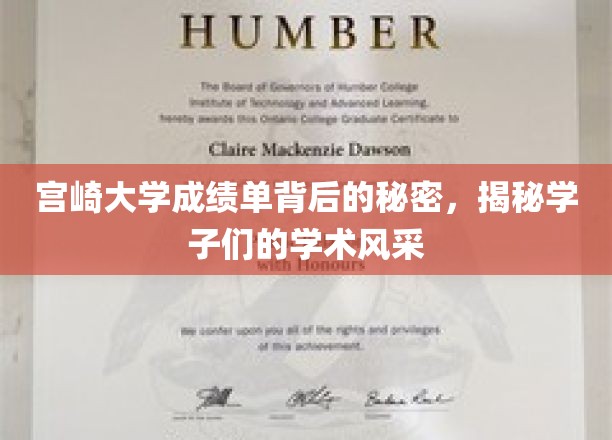 宫崎大学成绩单背后的秘密，揭秘学子们的学术风采