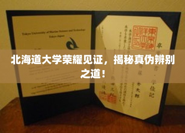 北海道大学权威加持，深度解析真假辨识秘诀！