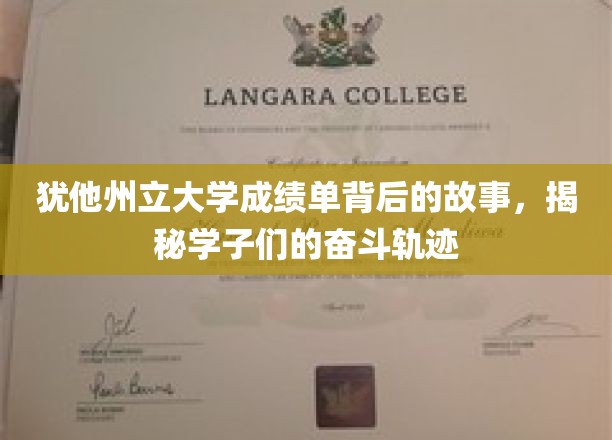 探寻犹他州立大学学子，成绩单背后的励志征程