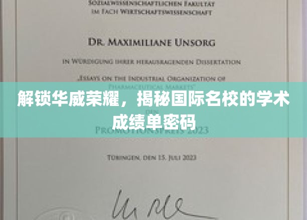 华威之光，探秘国际名校的秘密学术成就密码