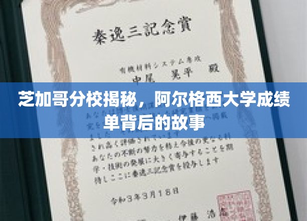 探寻阿尔格西大学在芝加哥分校的辉煌与秘密
