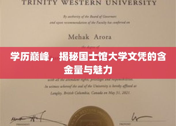 名校荣耀，国士馆大学文凭的非凡价值与无限魅力