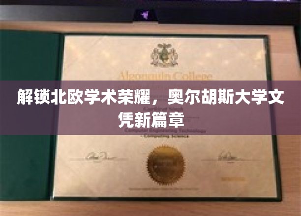 北欧学府新纪元，奥尔胡斯大学文凭引领学术新潮流