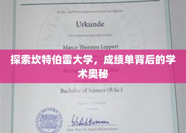 揭开坎特伯雷大学成绩单背后的学术秘密面纱