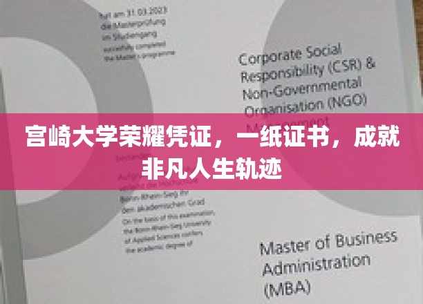 宫崎大学证书铸就非凡人生，荣耀时刻见证辉煌起点
