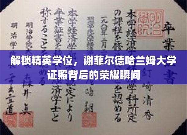 谢菲尔德哈兰姆荣耀启程，揭秘精英学位证照背后的辉煌时刻