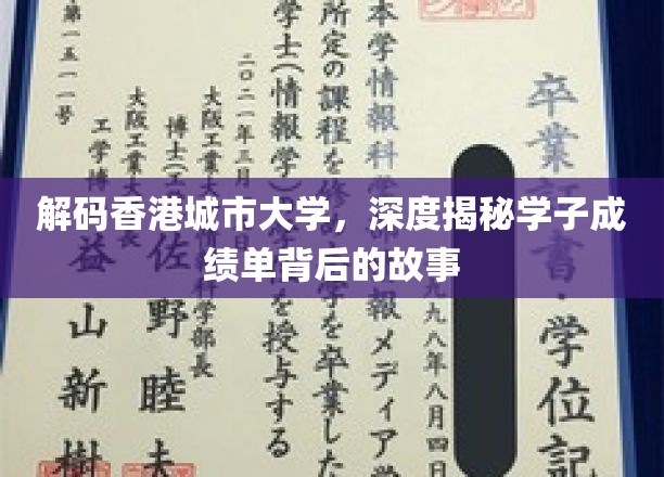 解码港城学子荣耀，揭秘香港城市大学成绩单背后的成长轨迹