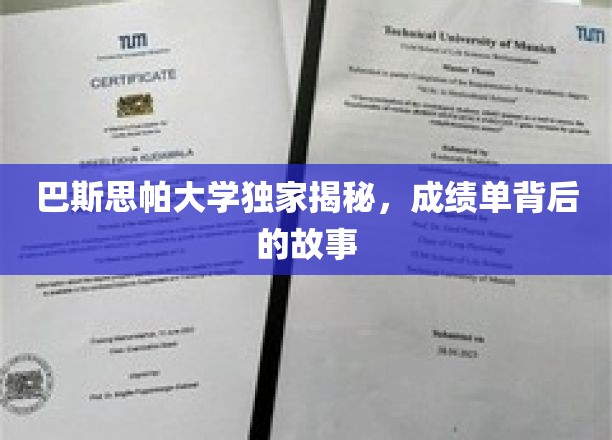 揭开巴斯思帕大学成绩单背后的精彩篇章