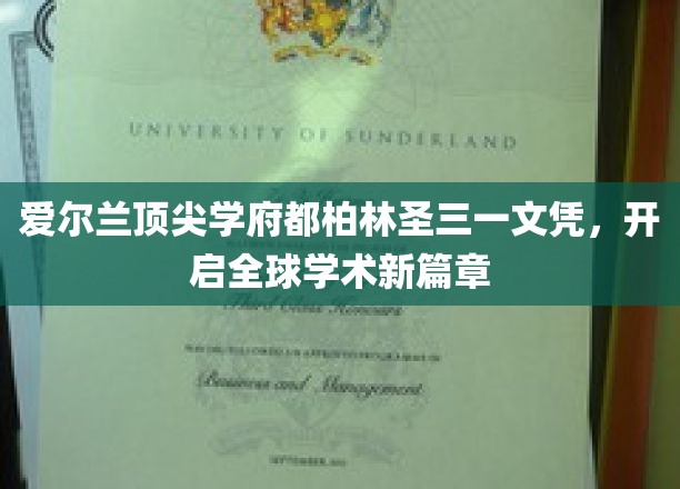 探索都柏林圣三一，全球精英教育的璀璨明珠
