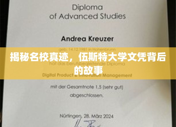 揭秘名校真迹，伍斯特大学文凭背后的故事