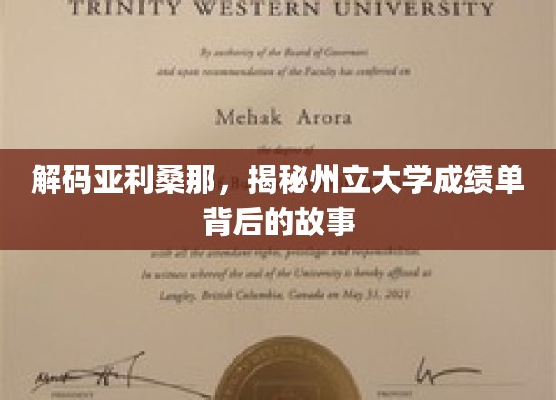 亚利桑那州立大学成绩单，探寻隐藏在数字背后的传奇
