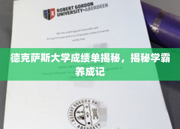 解码德克萨斯大学学霸之路，成绩单背后的秘密揭晓