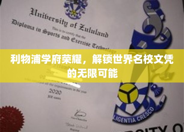 利物浦之梦，探索名校文凭的全球通行证