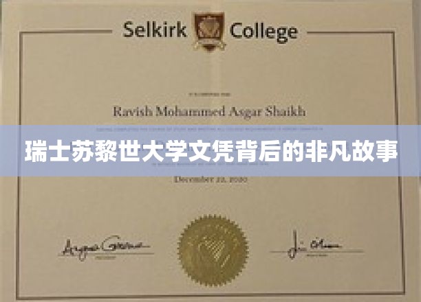 苏黎世荣耀，揭秘那些鲜为人知的瑞士大学文凭传奇