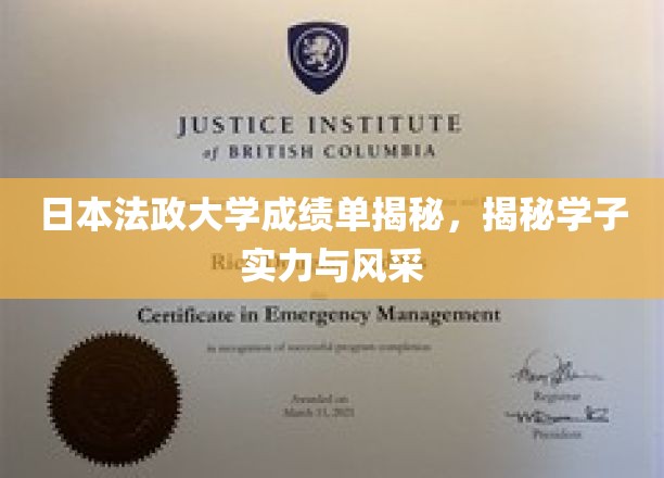 解码日本法政大学学子实力与风采，成绩单背后的故事