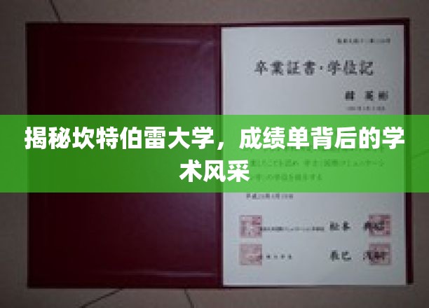探寻坎特伯雷大学，成绩单映照下的学术魅力