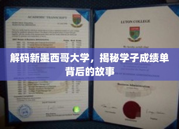 探寻新墨西哥大学学子成绩单背后的成长轨迹