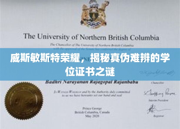 威斯敏斯特荣耀，揭秘真伪难辨的学位证书之谜