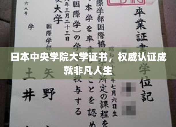 解码中央学院大学证书，开启非凡成就之路